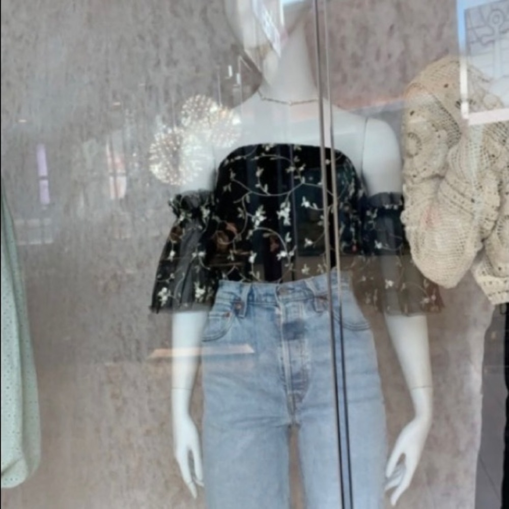 Mesh Floral Embroidered Bardot Sleeve Blouse